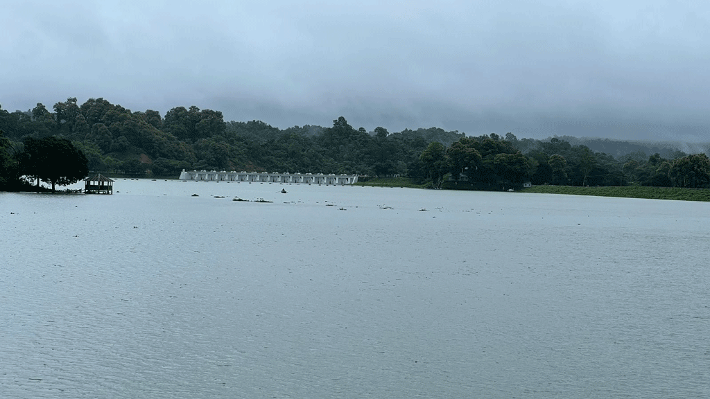 চাঁদাবাজির কারণে নিষেধাজ্ঞার পর কাপ্তাই হ্রদে মাছ আহরণে ভাটা