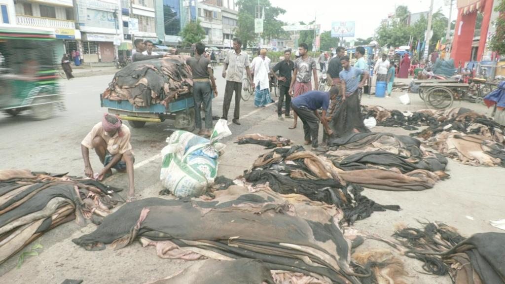 ন্যায্যমূল্য না পেলে চামড়া ভারতে পাচারের শঙ্কা, সতর্ক অবস্থানে বিজিবি