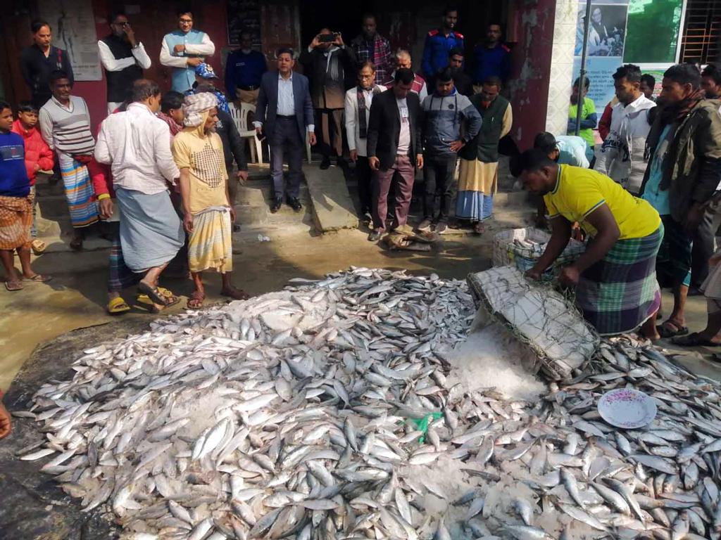 লক্ষ্মীপুরে ৩ টন জাটকা জব্দ