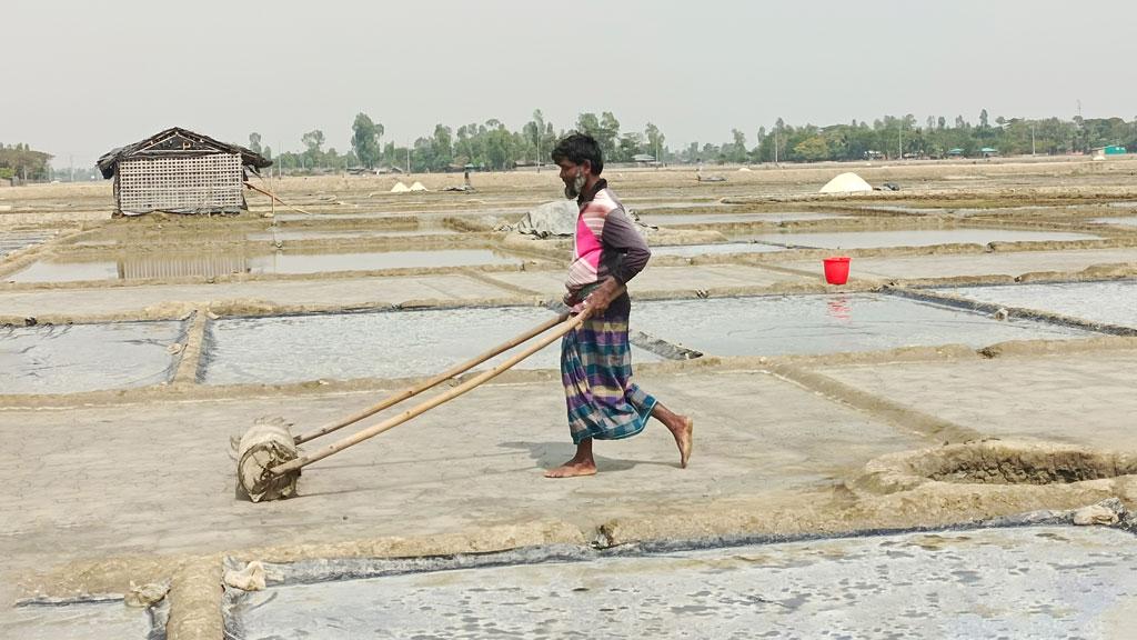 লবণ উৎপাদন শুরু, দামে হতাশ চাষি