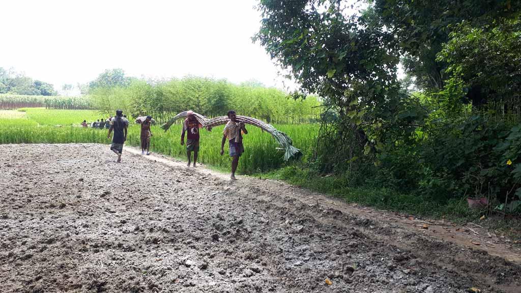 আখ চাষিদের লাভের অংশ চলে যাচ্ছে পাইকারদের পকেটে