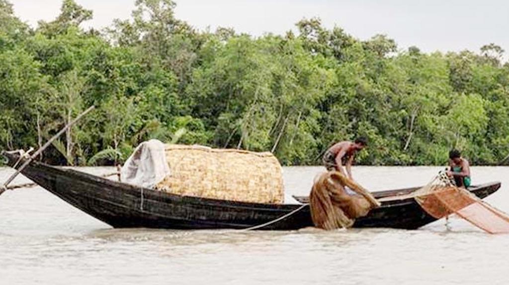 সুন্দরবনে নিষেধ অমান্য করে মাছ শিকার