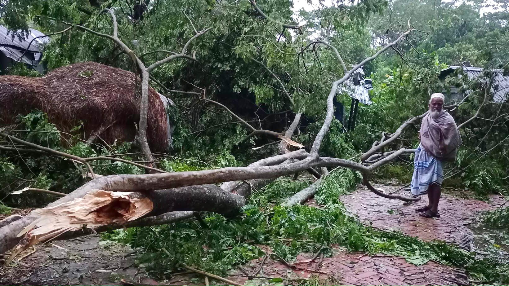 ২৪ ঘণ্টা ধরে বিদ্যুৎ নেই মতলবে