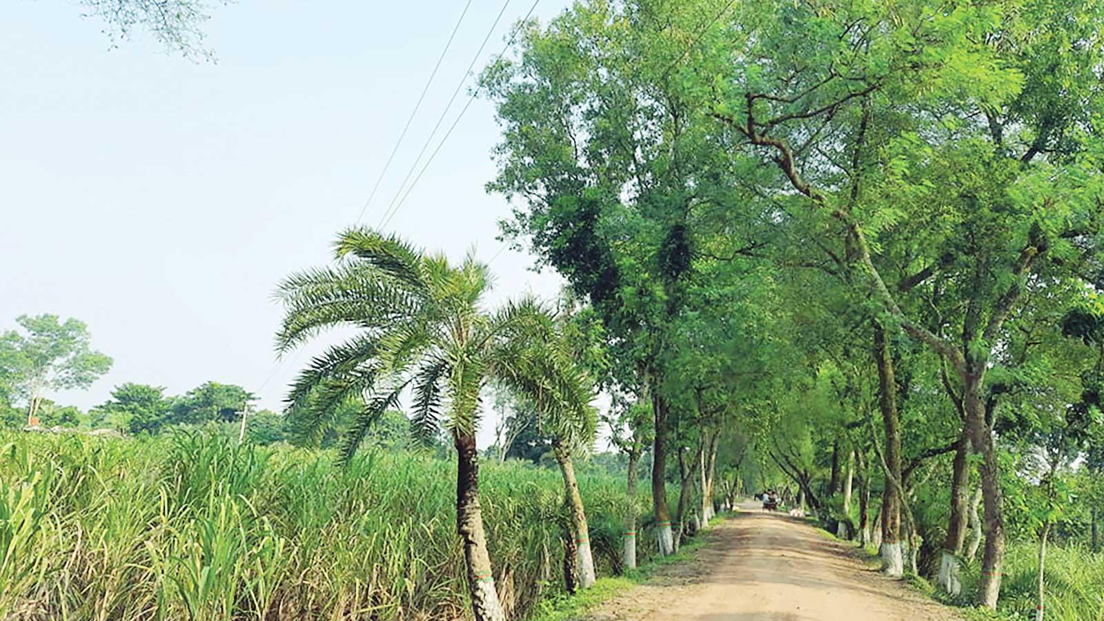 যে গ্রামে সব আছে