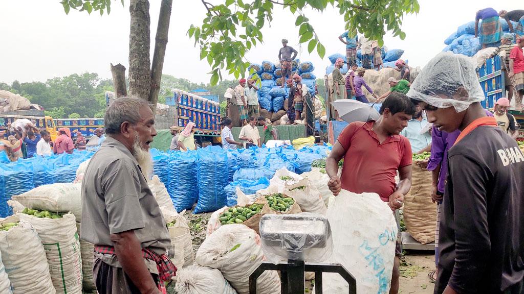 বেশি সরবরাহের সুযোগে কৃষকদের ৪ টাকা কেজিতে পটোল বেচতে বাধ্য করলেন ব্যাপারিরা  