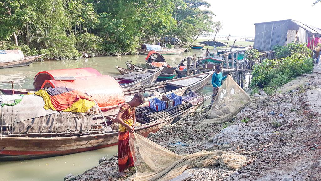 শুধুই নিষেধাজ্ঞার খড়্গ, মিলছে না ইলিশ