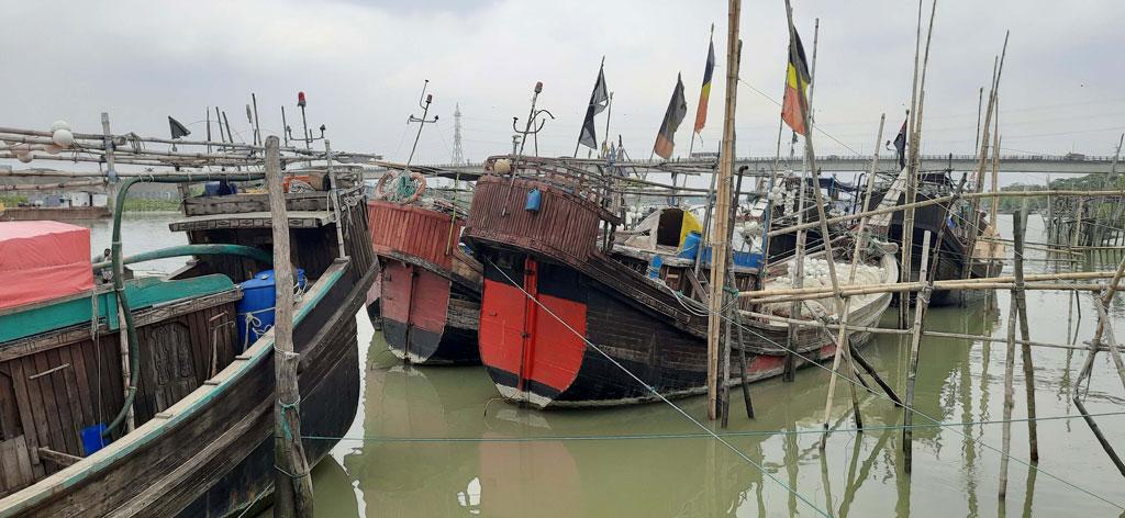 সুন্দরবনে ১০০ দিন মাছ ধরা ও পর্যটক প্রবেশ বন্ধ