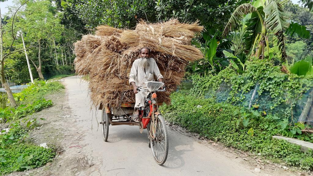 অন্যের বোঝা না হয়ে নিজেই বোঝা টানেন ৭০ বছরের সুরুজ মিয়া 