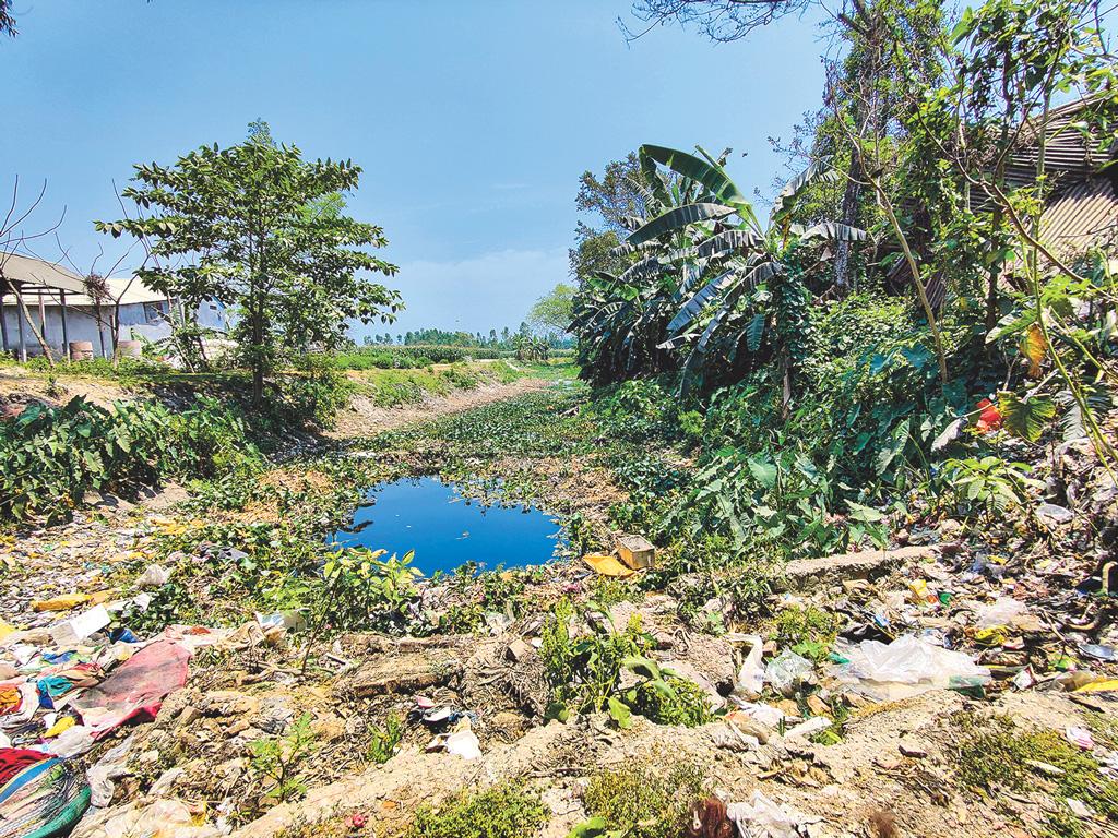 বামনডাঙ্গায় আর পালে  হাওয়া লাগে না