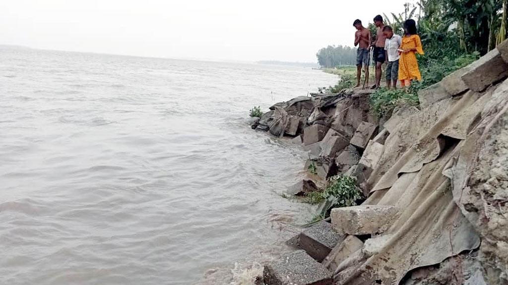 ধুনটে যমুনার পানি বৃদ্ধি, হুমকিতে বন্যানিয়ন্ত্রণ বাঁধ