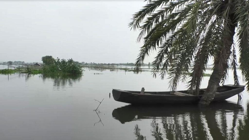 সাতক্ষীরায় ৫ হাজার হেক্টর ঘের প্লাবিত, চাষিদের কপালে চিন্তার ভাঁজ