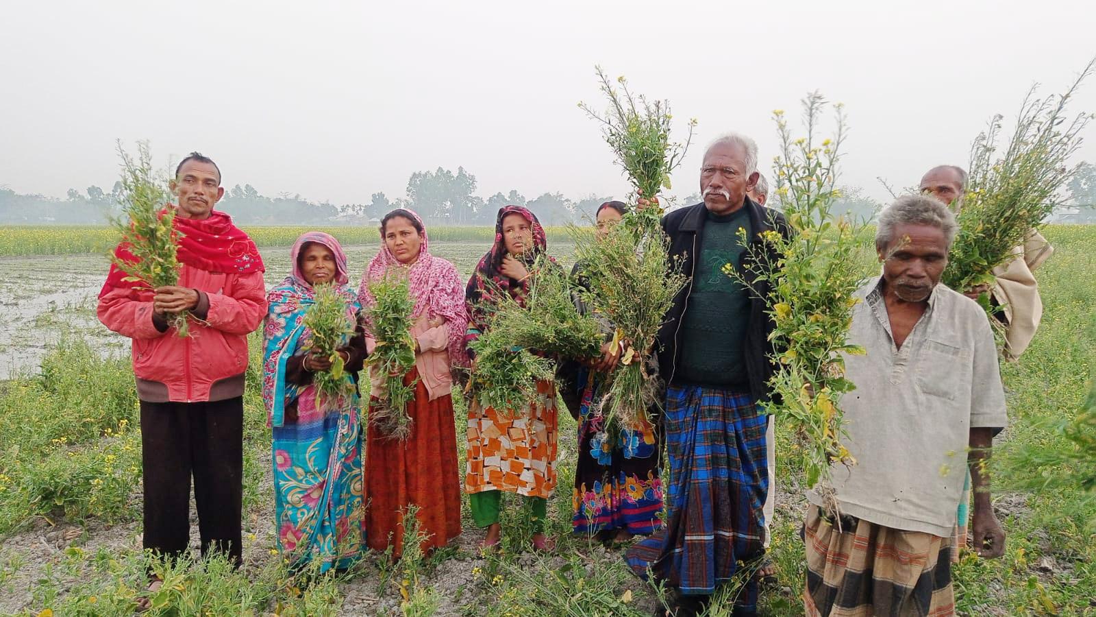 প্রণোদনার সরিষাবীজে কপাল পুড়ল কৃষকের