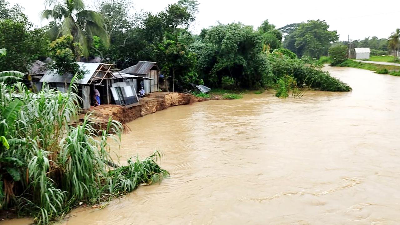 তীব্র স্রোতে নদীতে বিলীন বসতবাড়ি