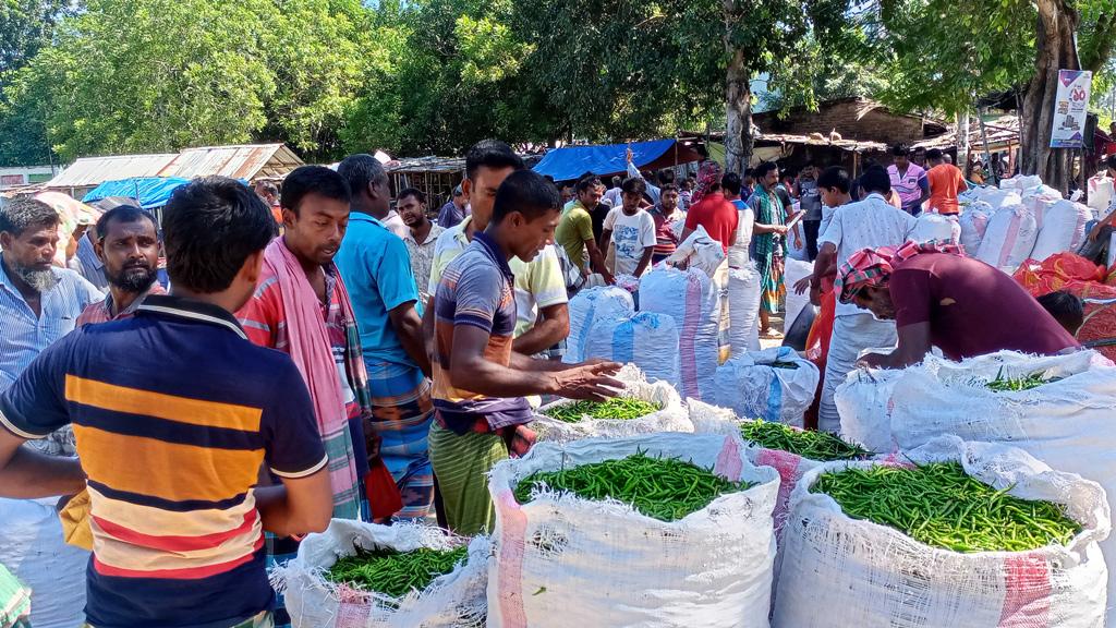 মরিচের কেজি এখন ১২ টাকা