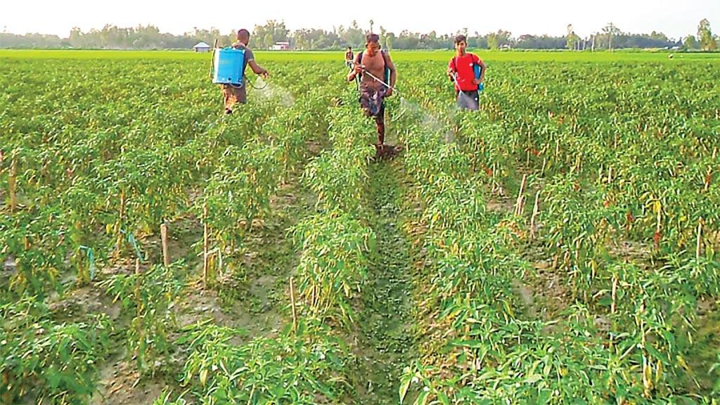 নিত্যপ্রয়োজনীয় জিনিসের দামে লাগাম পরাবে কে