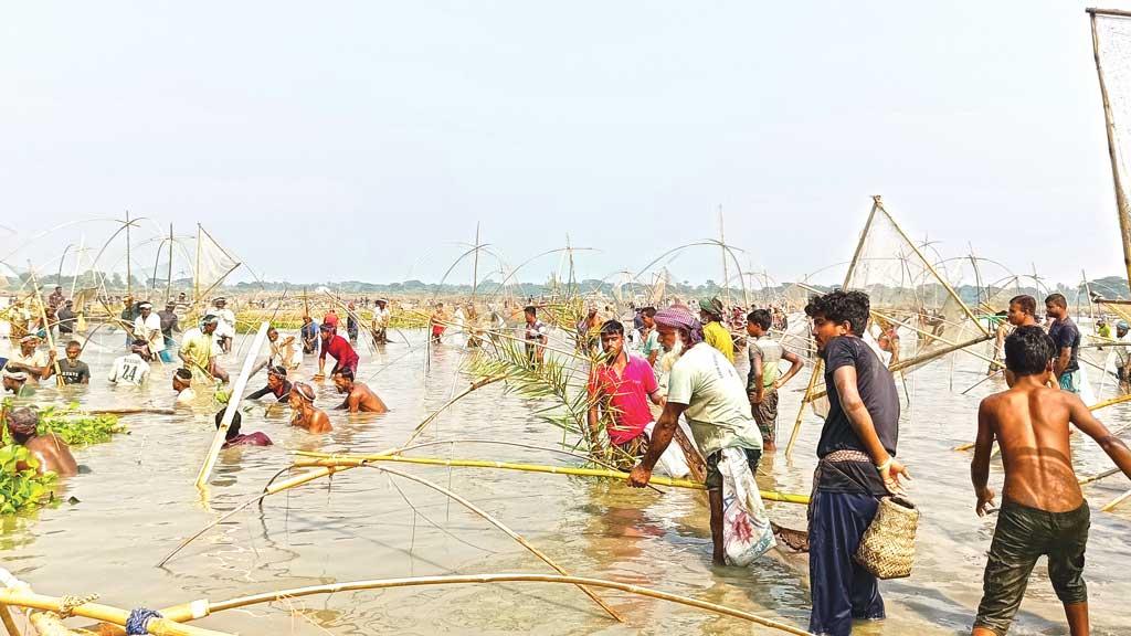 ত্রিশালের কেচুরি বিলে দেশি মাছের উৎসব