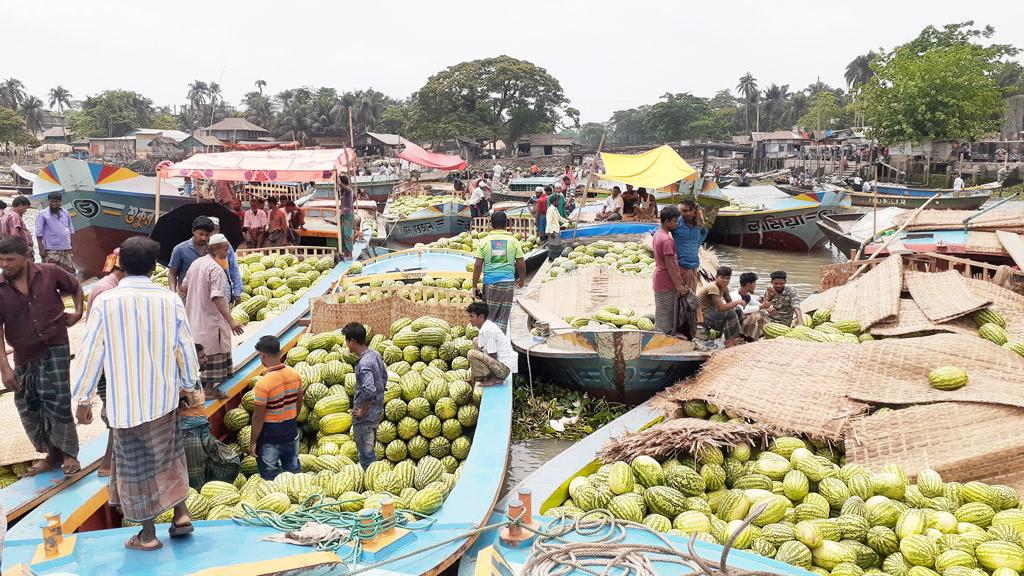 নেছারাবাদের কালীবাড়ি খালে জমে উঠেছে ঐতিহ্যবাহী তরমুজের হাট