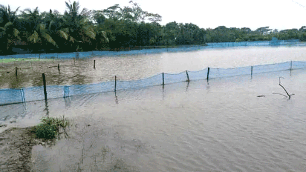 বাগেরহাটে থামছে না ঘের দখল লুটপাট ও চাঁদাবাজি