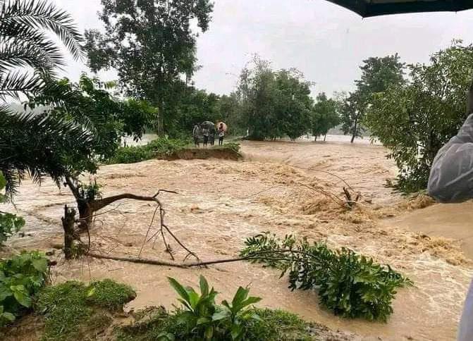 ঢল-বর্ষণে নালিতাবাড়ী প্লাবিত, পানিবন্দী কয়েক হাজার পরিবার 