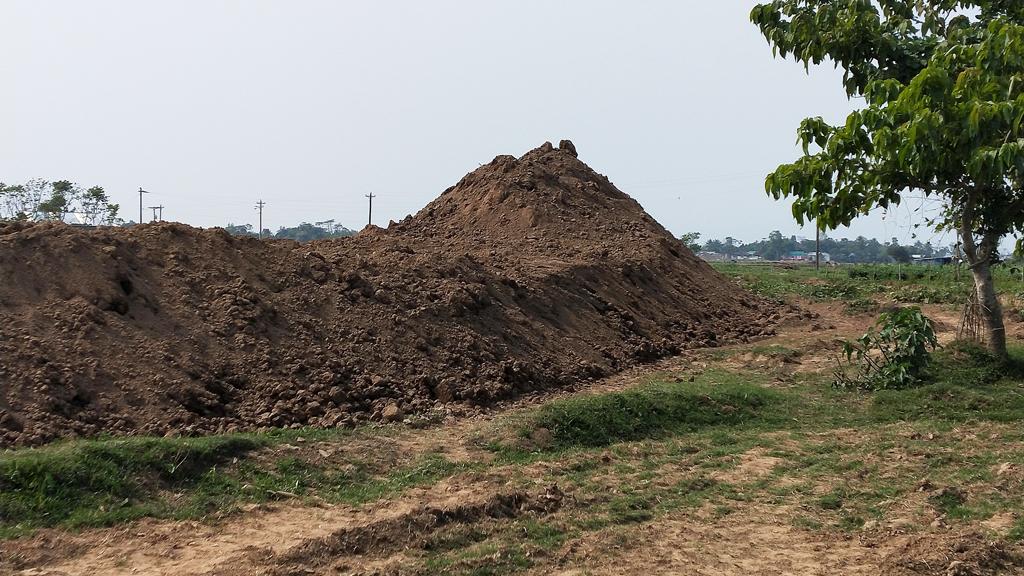 হাওরে ফসল রক্ষা বাঁধ: কমতে পারে প্রকল্প, ৮ কর্মকর্তা বদল