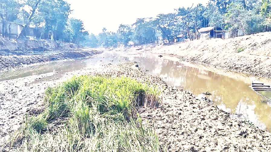 ঘাস ছাঁটাই করেই খনন শেষ!