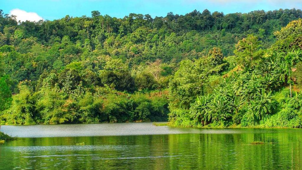 সব সংকট কাটিয়ে ভালো থাকুক আমাদের অরণ্য