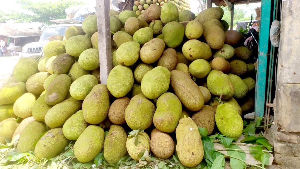 পাহাড়ের কাঁঠাল সমতল মাতাচ্ছে, চলছে বেচাকেনার ধুম 