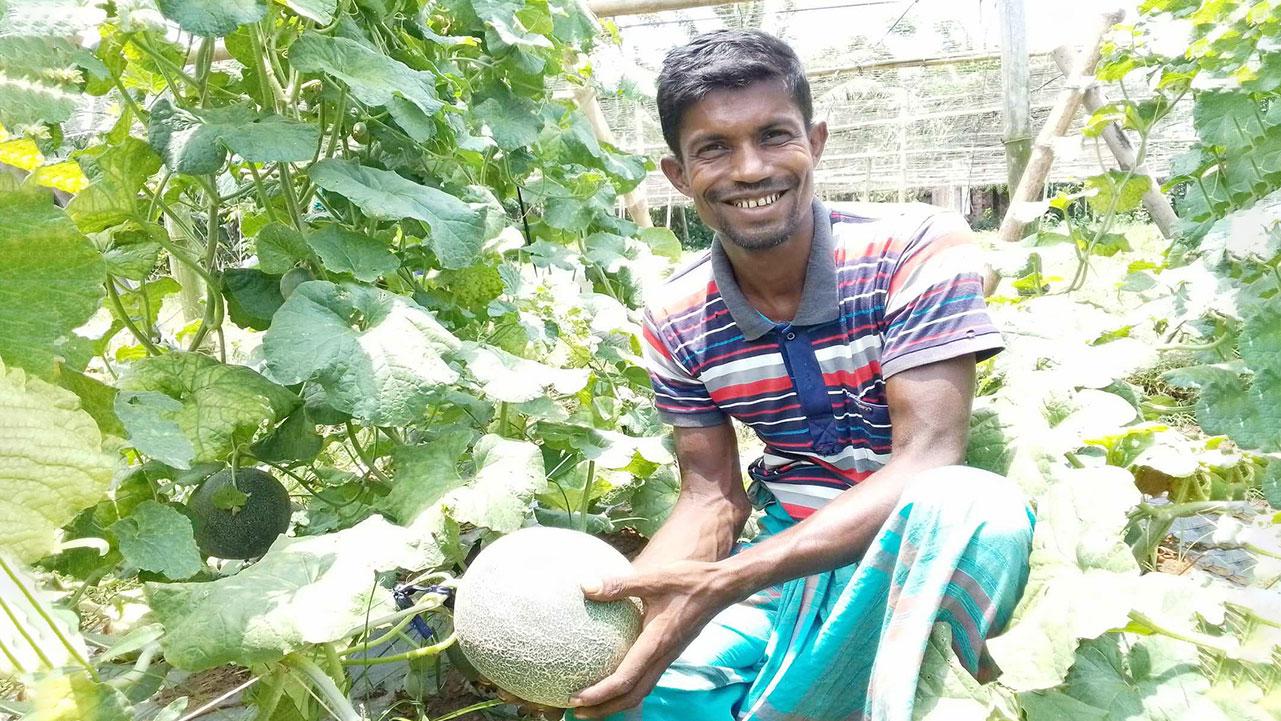 রক মেলনের ভালো ফলন