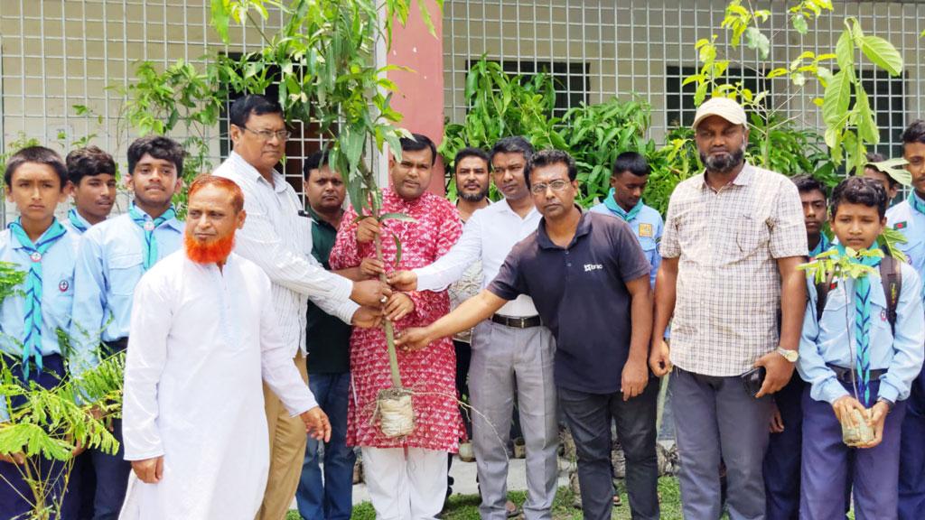 বিশ্ব পরিবেশ দিবসে গাইবান্ধায় বৃক্ষরোপণ কর্মসূচি