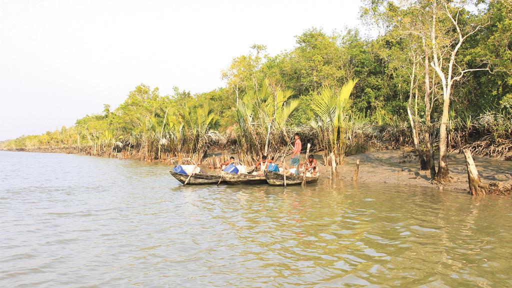 সুন্দরবনের টহল ফাঁড়িতে দুর্বৃত্তদের হামলা, মালামাল লুট