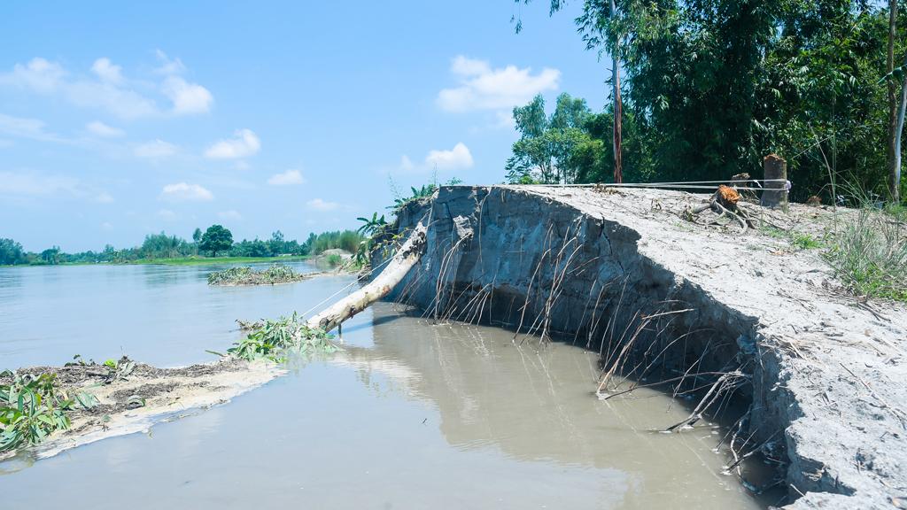 গঙ্গাচড়ায় তিস্তার পানি কমলেও বেড়েছে ভাঙন