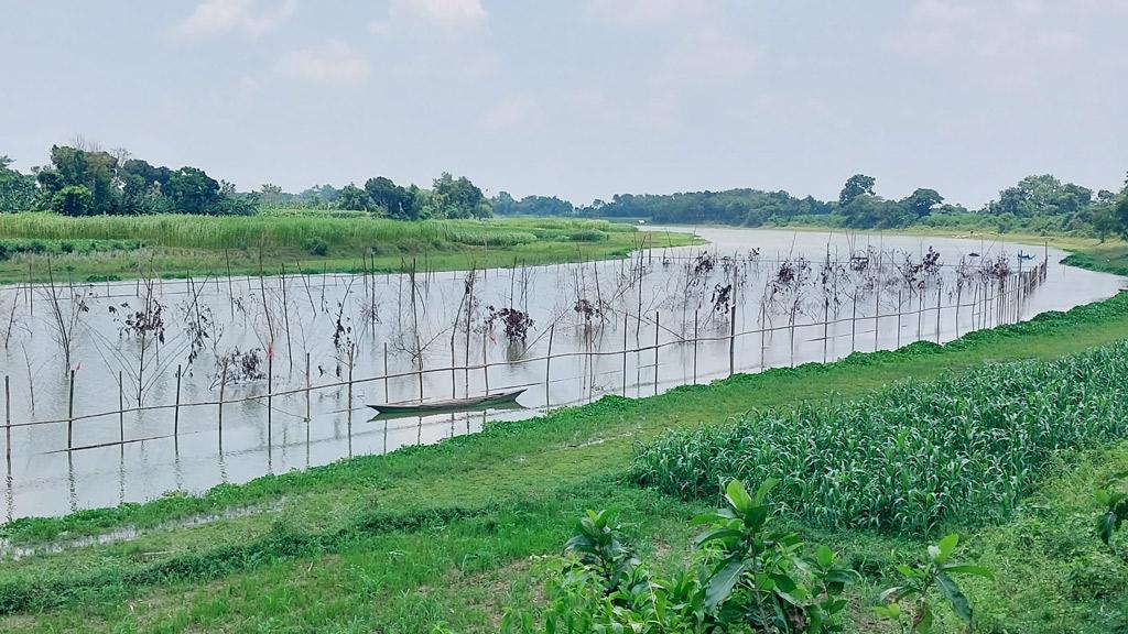 মুজিবনগরে মৎস্য অভয়াশ্রম তৈরিতে অনিয়মের অভিযোগ