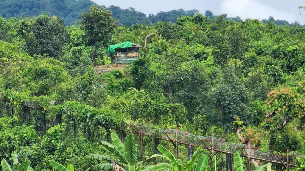 বাংলাদেশি রাজনৈতিক অস্থিরতা: হিন্দু নয়, আসামে বেশি অনুপ্রবেশ করেছে মুসলিমরা 