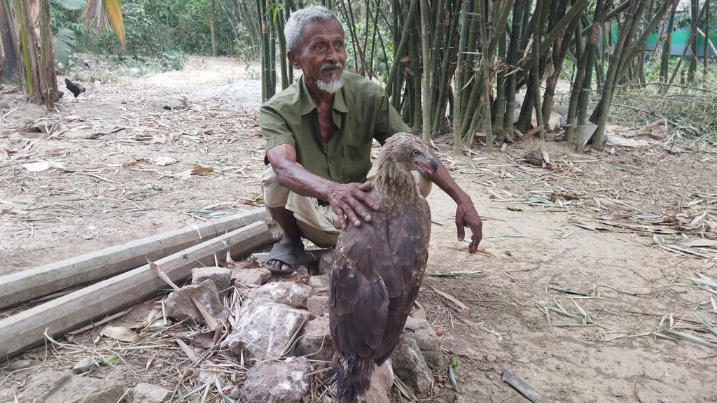 বন্য প্রাণী পোষাই তাঁর নেশা 