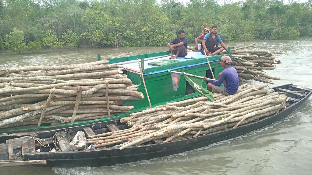 বনকর্মীর নেতৃত্বে সুন্দরবনের চার শতাধিক গাছ কর্তন