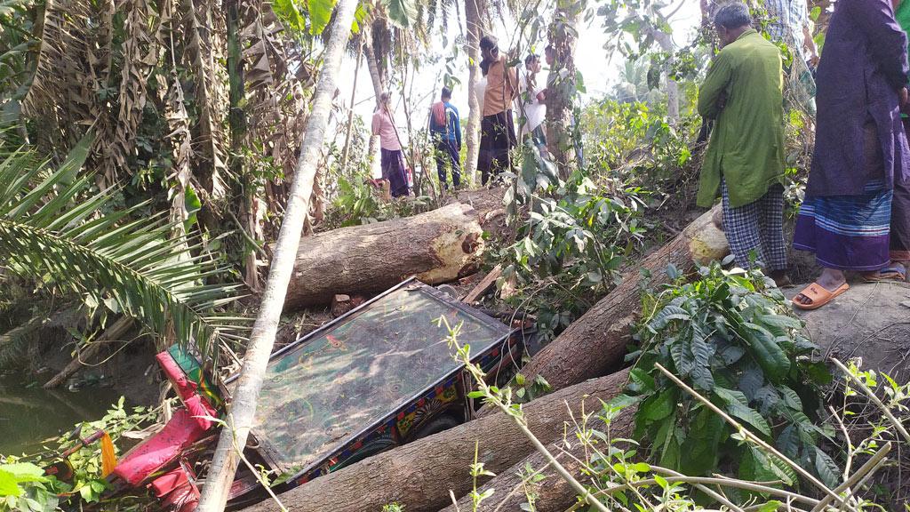 নড়াইলে কাঠবোঝাই নসিমন উল্টো চালক নিহত