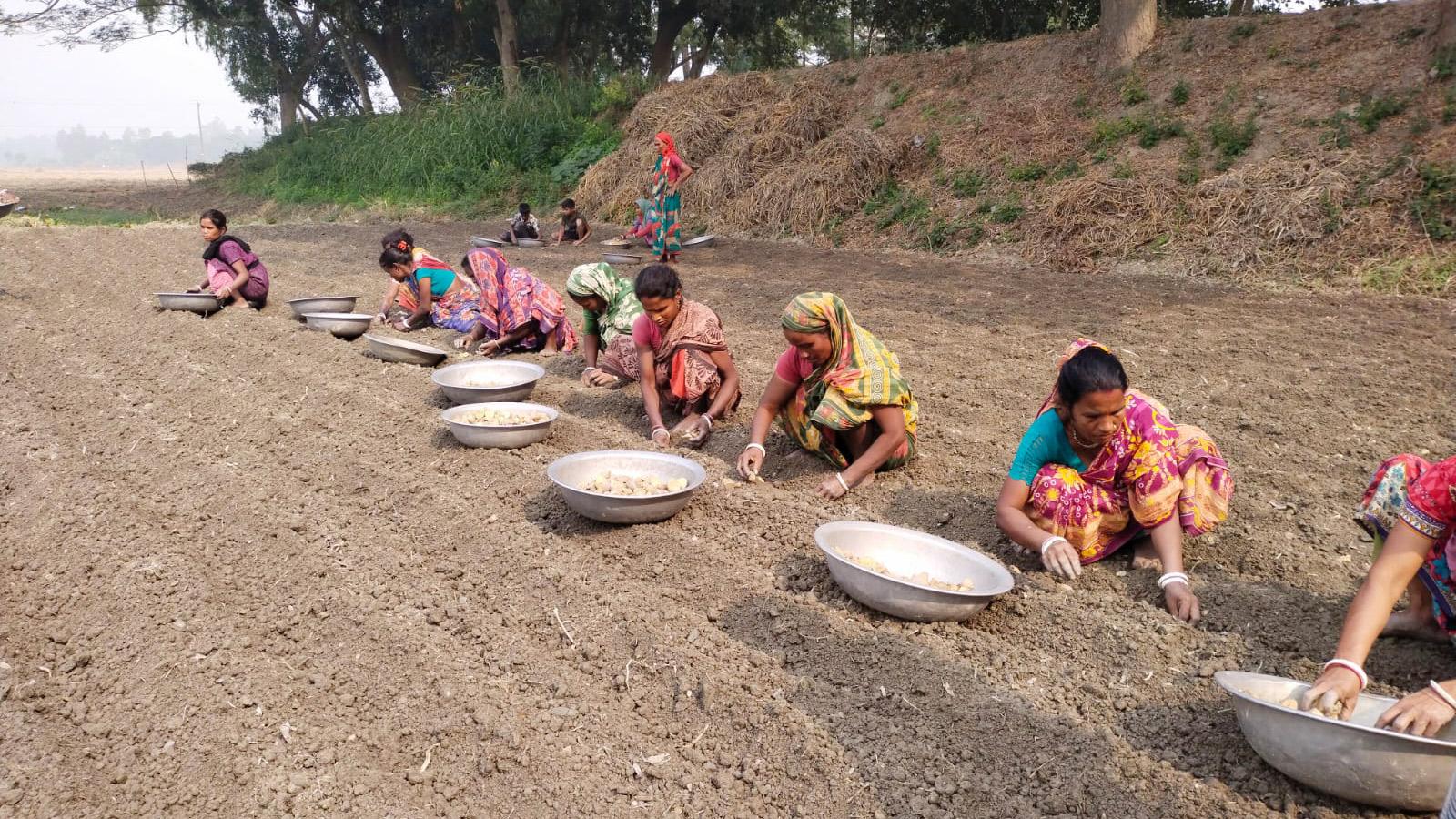 টাকা দেয়নি বিদেশি দাতারা, মাঝপথেই শেষ ‘স্বপ্ন’