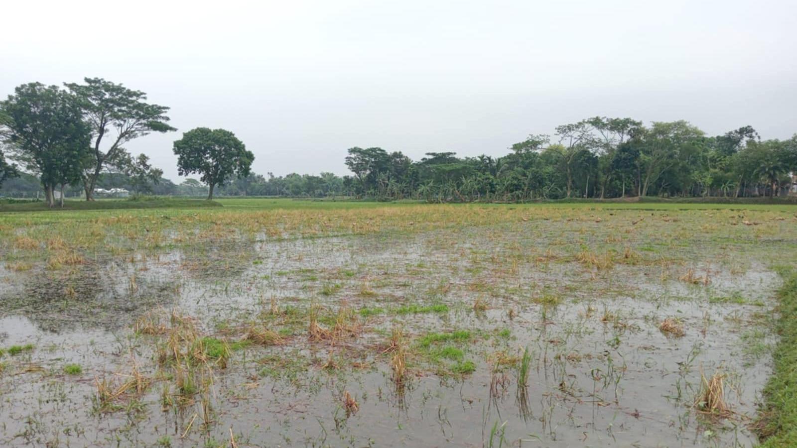 প্রেম করে বিয়ে, বনিবনা না হওয়ায় বিচ্ছেদ, ২ পরিবারের দ্বন্দ্ব বাড়ছেই