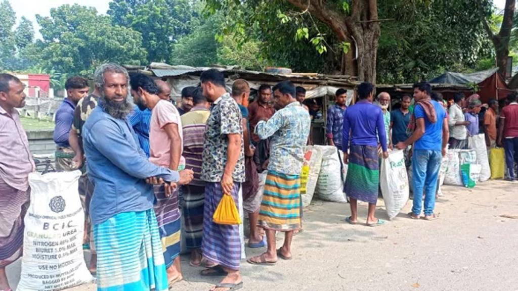 গাংনীতে মরিচের দাম কমে ৬০ টাকা কেজিতে বিক্রি