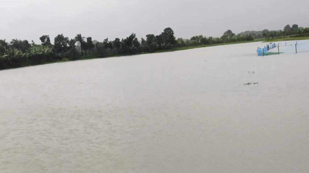 বিল দখল করে বিএনপি নেতারা বললেন পুনরুদ্ধার