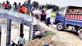 নড়বড়ে সেতু দিয়ে চলছে ভারী যানবাহন, ঝুঁকি