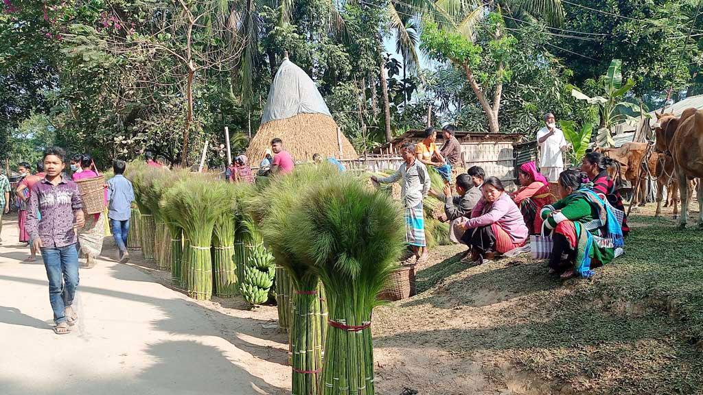 চার মাসে ১৬ কোটি টাকার ফুল বিক্রির সম্ভাবনা