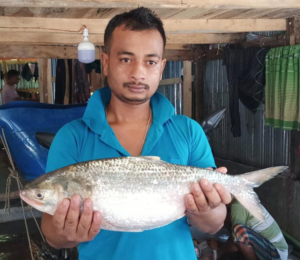 কুয়াকাটায় এক ইলিশ বিক্রি হলো ৭ হাজার টাকায়