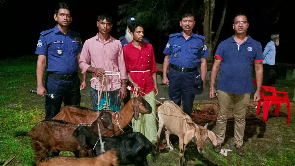 মির্জাগঞ্জে ছয় চোরাই ছাগলসহ শ্যালক-দুলাভাই আটক