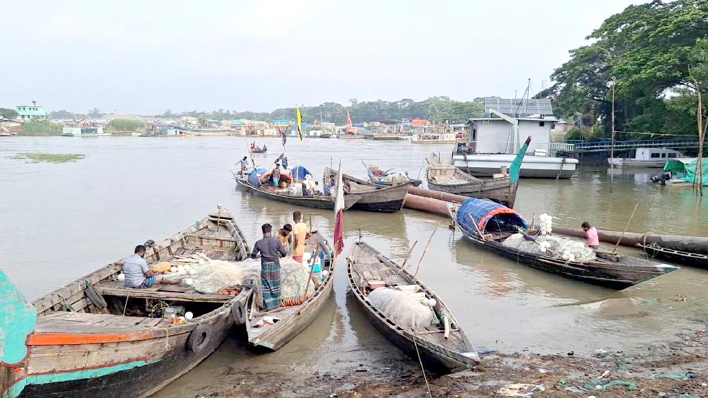 মা ইলিশ রক্ষায় ২১ দিন মেঘনায় মাছ ধরা নিষিদ্ধ