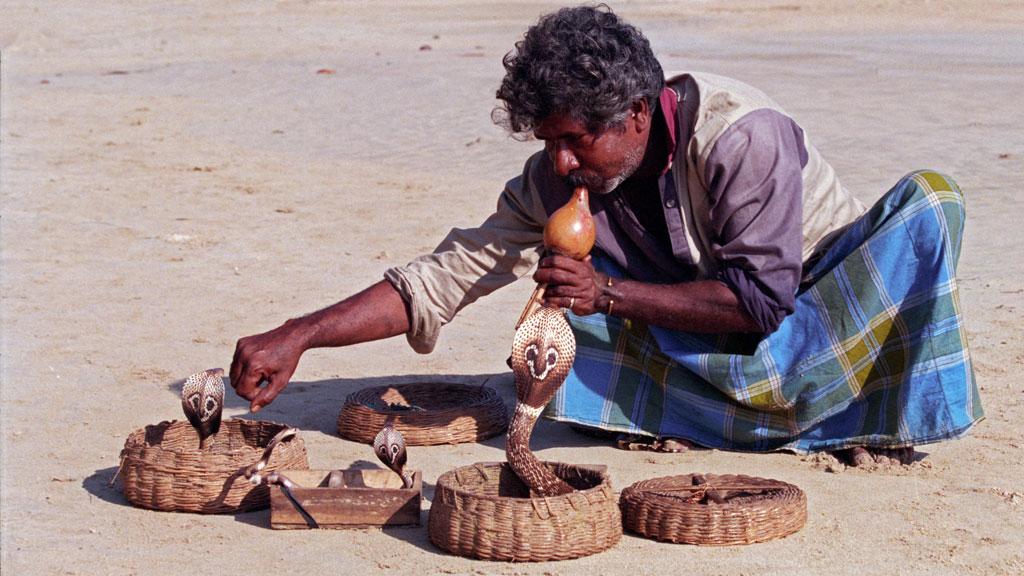 সাপ কি বীণের সুরে নাচে