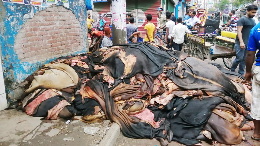 বগুড়ায় কোরবানির পশুর চামড়ার বাজার সিন্ডিকেটের দখলে