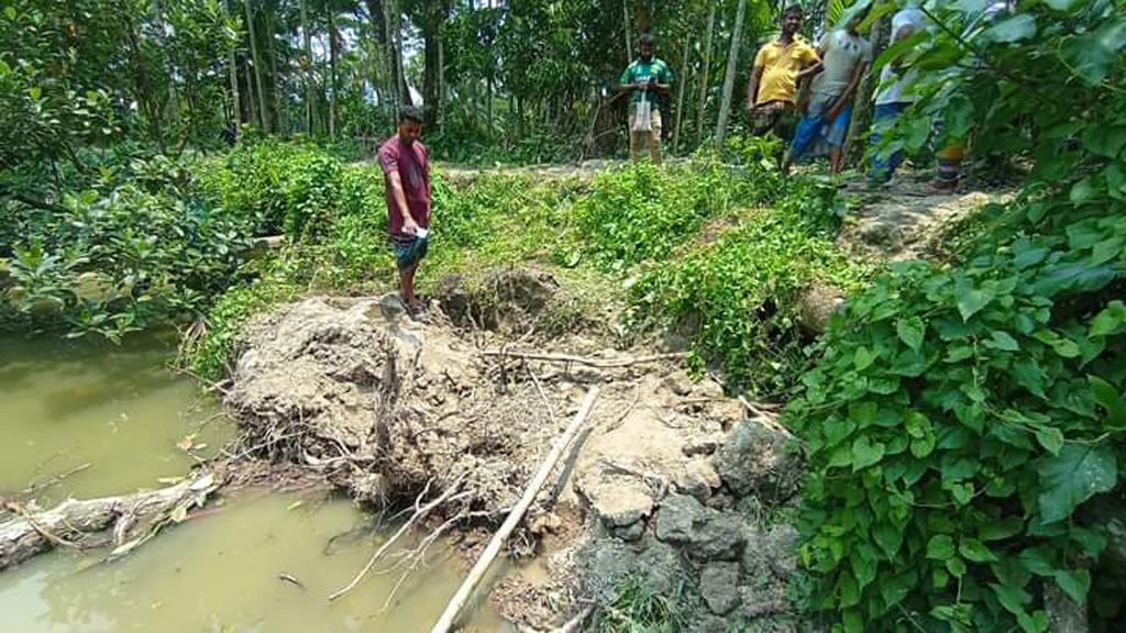 ভোলায় আম কুড়াতে গিয়ে পুকুরের পাড় ধসে গৃহবধূর মৃত্যু