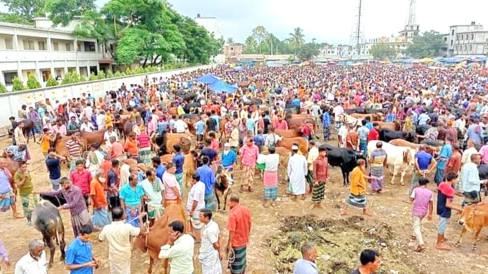 চাহিদার চেয়ে পশু বেশি