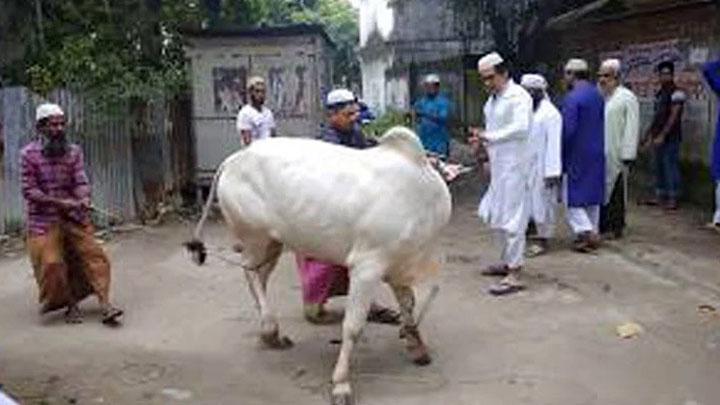 পশু জবাইয়ের গুরুত্বপূর্ণ ইসলামি শিষ্টাচার